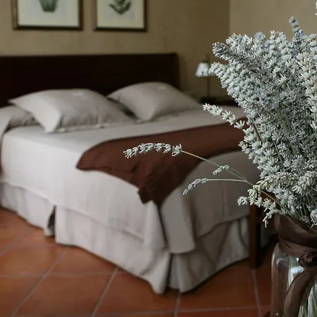 Bremon Boutique By Duquessa Collection Hotel